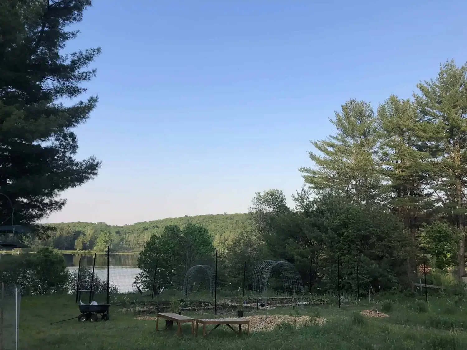 Spring season early food forest garden protected with a deer fence which is black.