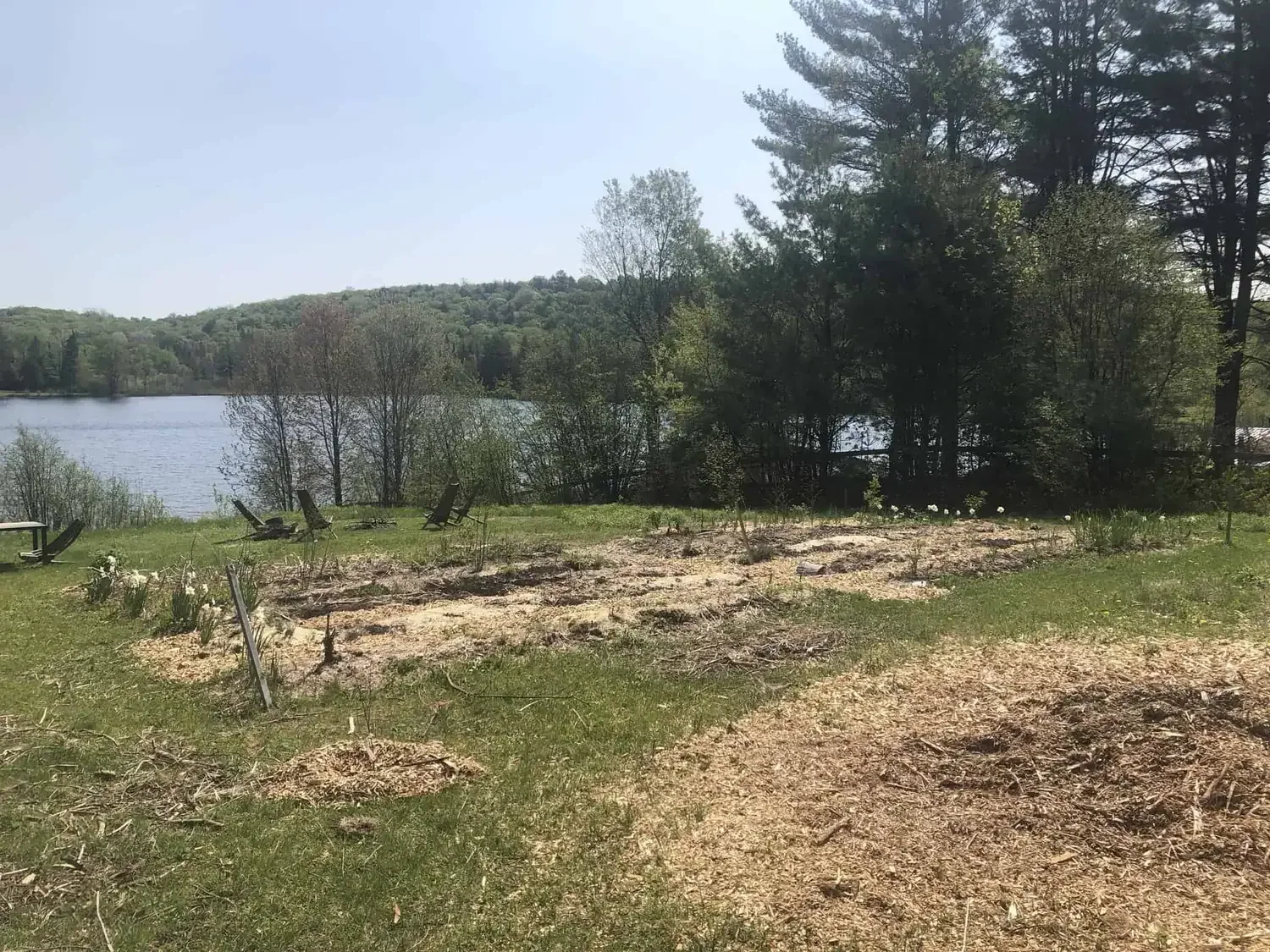 Wood chip piles and early food forest in its first year. Very little trees.