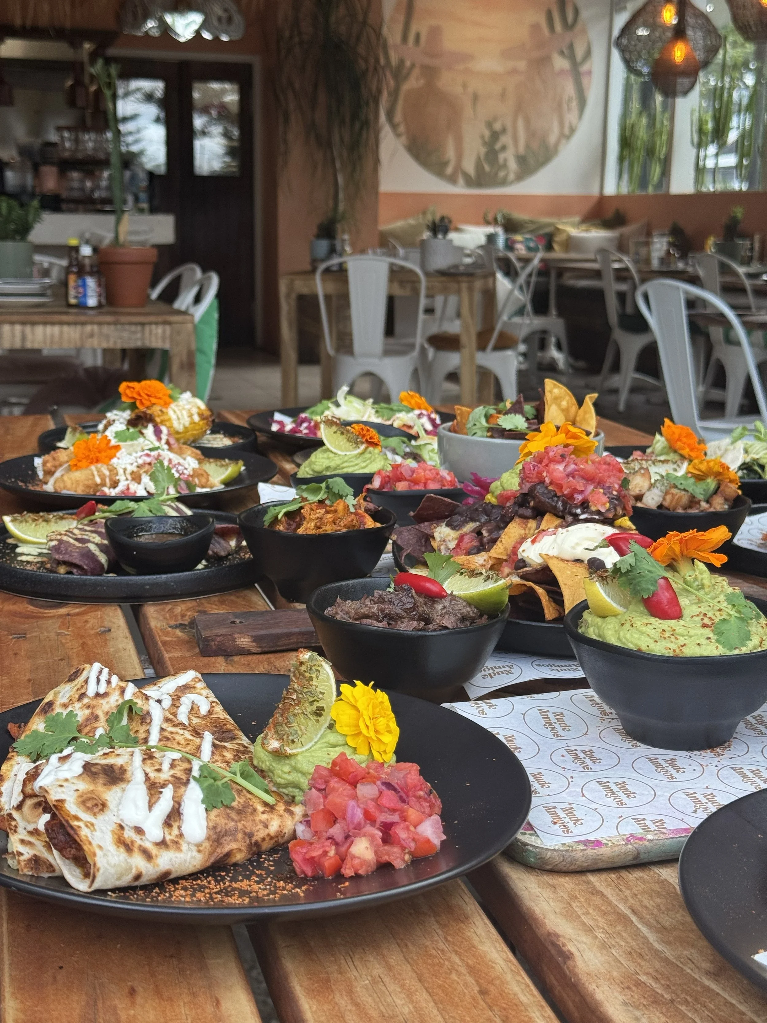 A variety of Mexican dishes including tacos, guacamole, and salsa served on black plates and bowls on a rustic wooden table in a restaurant with indoor plants and artwork on the walls.