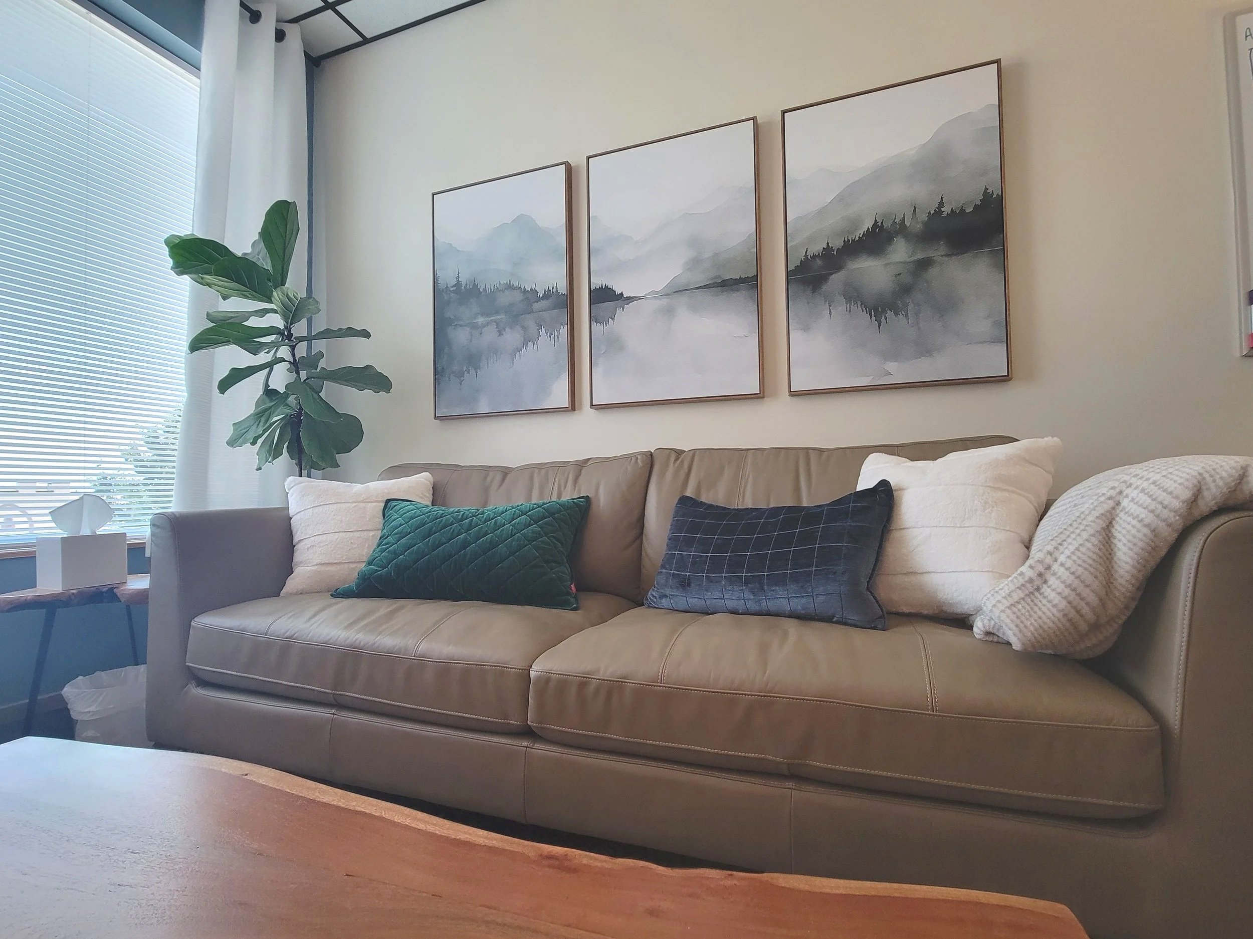 Therapy Sofa at Evergreen Counseling Texas