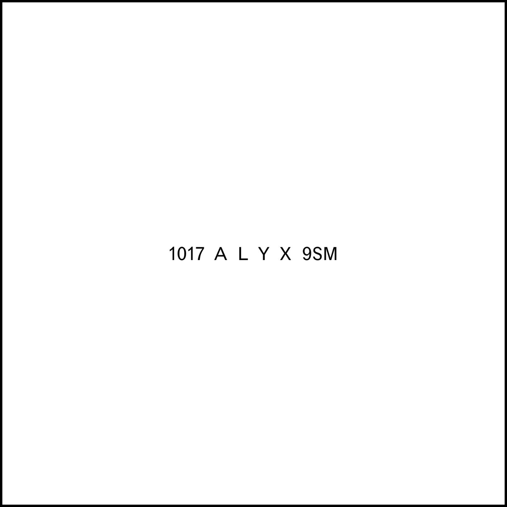 ALYX