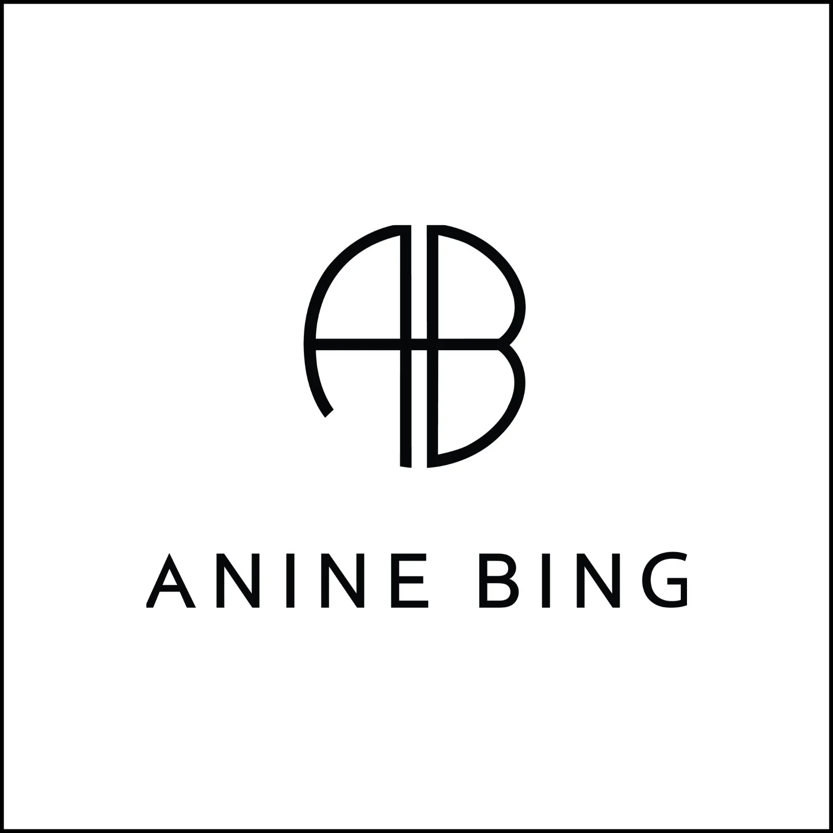 Anine Bing 