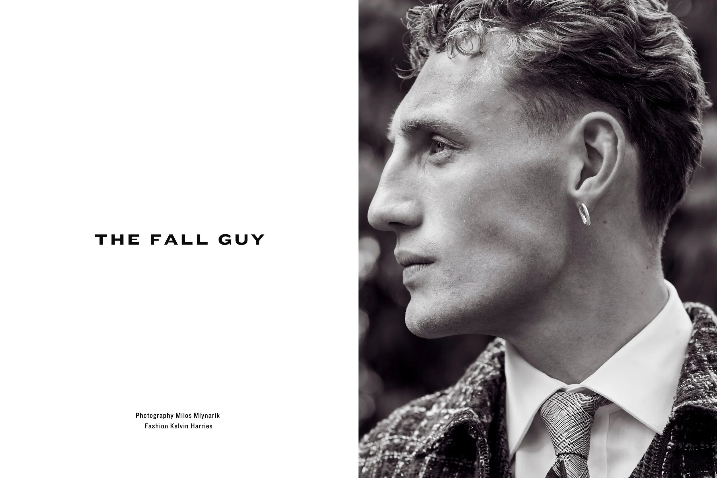 The Fall Guy