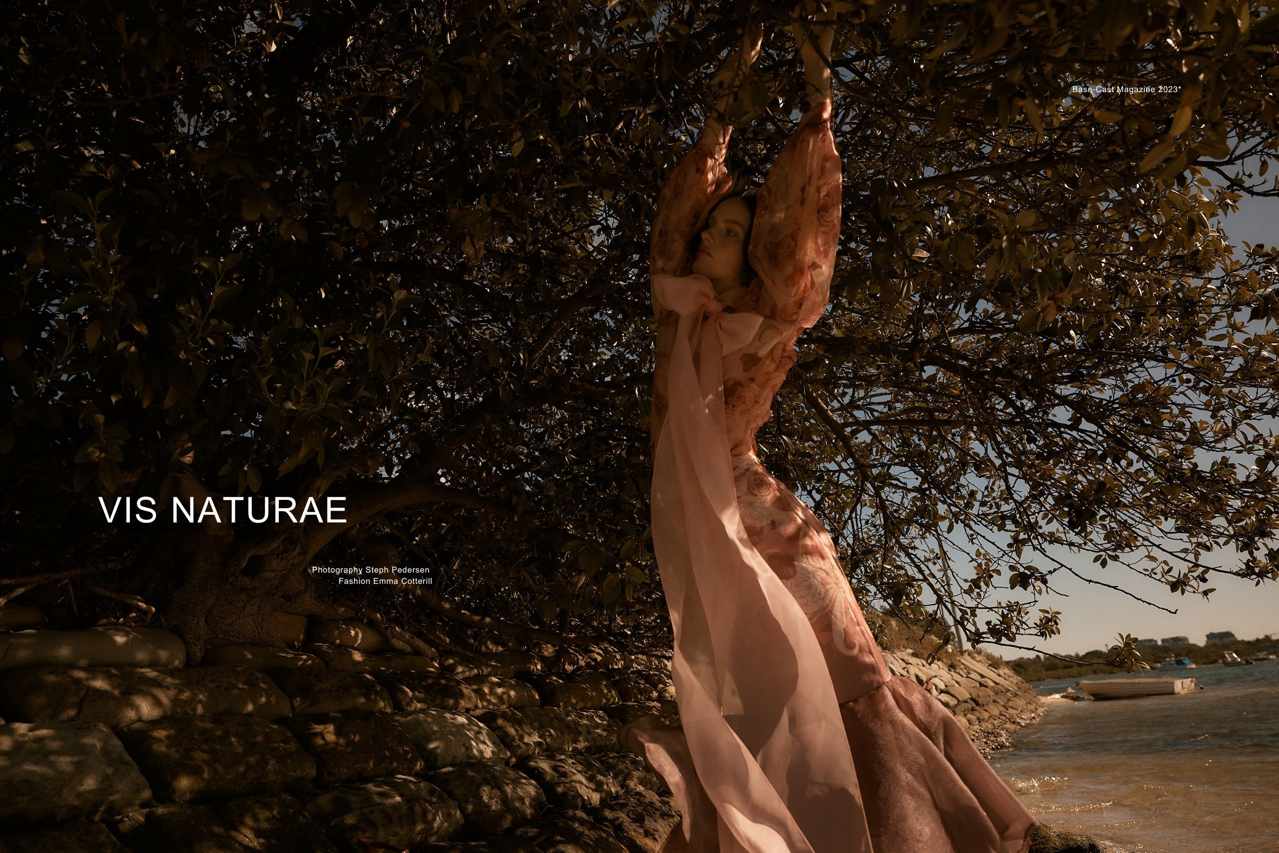 Vis Naturae