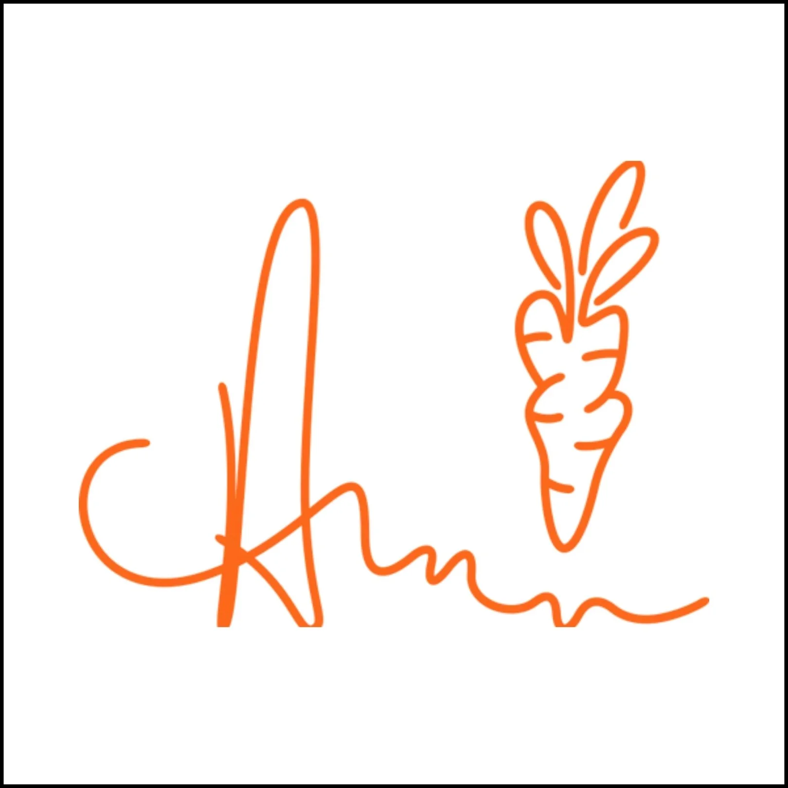 Carrots By Anwar Carrots