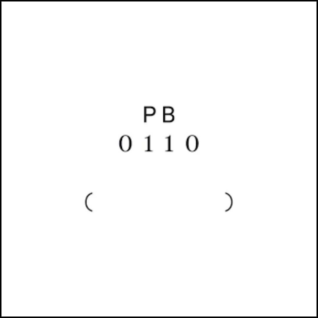 PB 0110