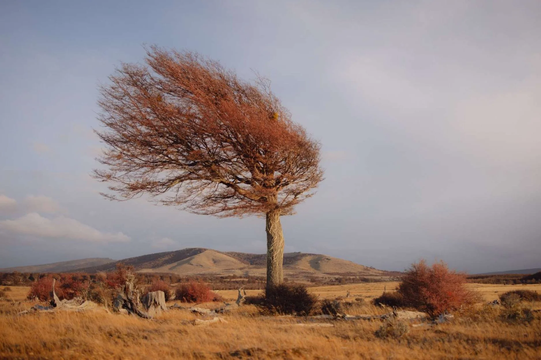 Artist Spotlight: Photographer Pie Aerts.