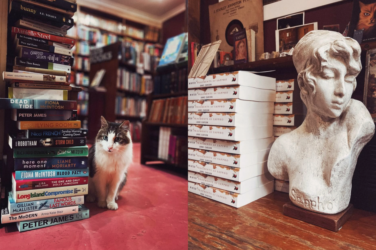 Cult. Circuit #001: Why Sydney’s Independent Bookstores Still Matter.