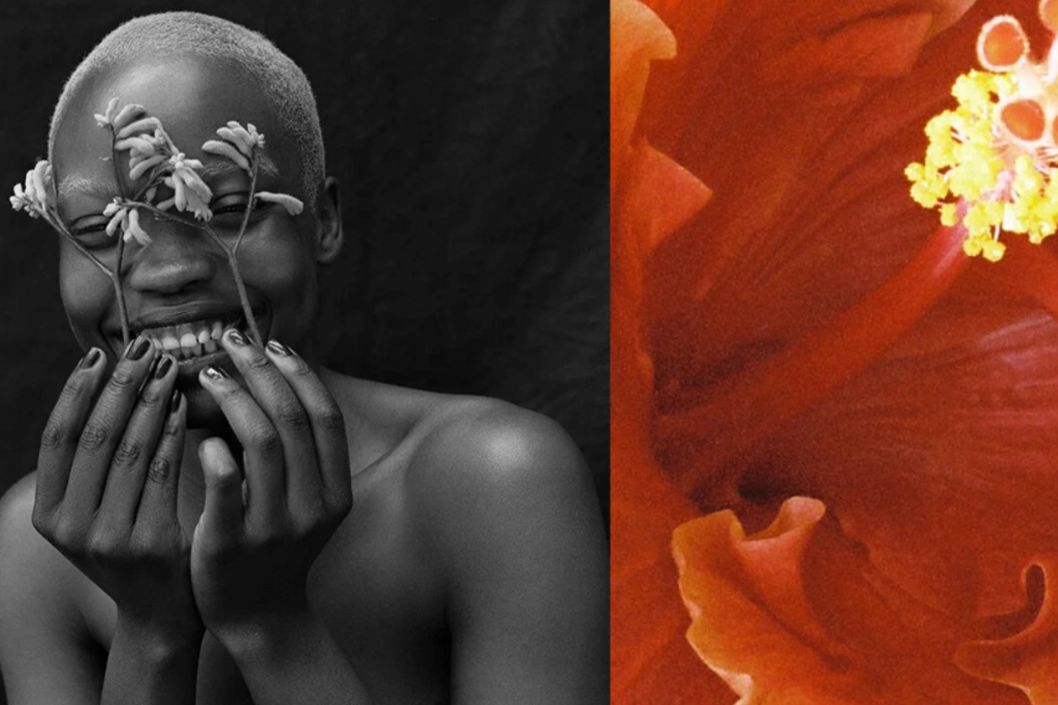 The Gentle Boldness of Natalia Parsonson.