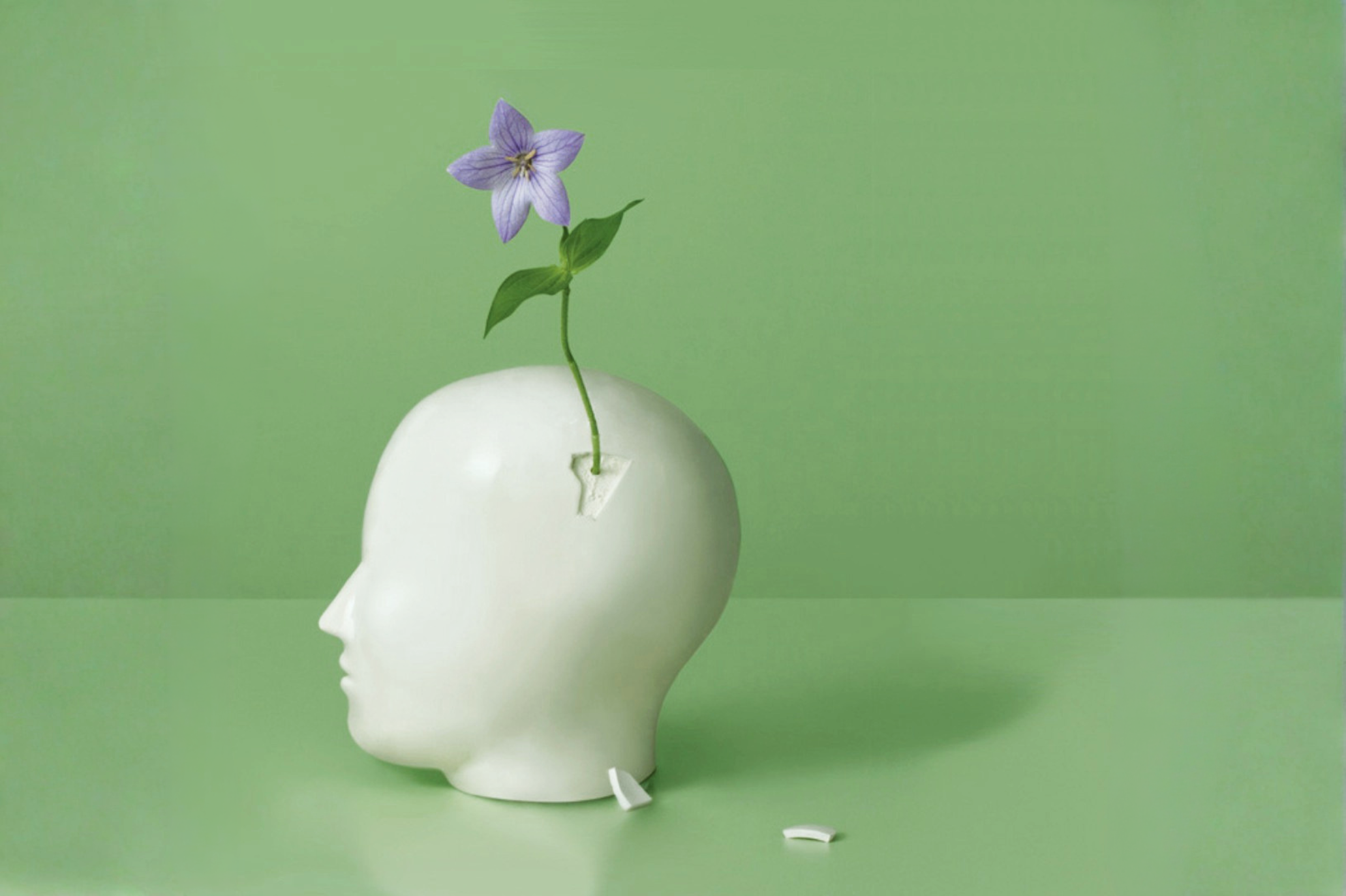 Nurturing Independent Thought.