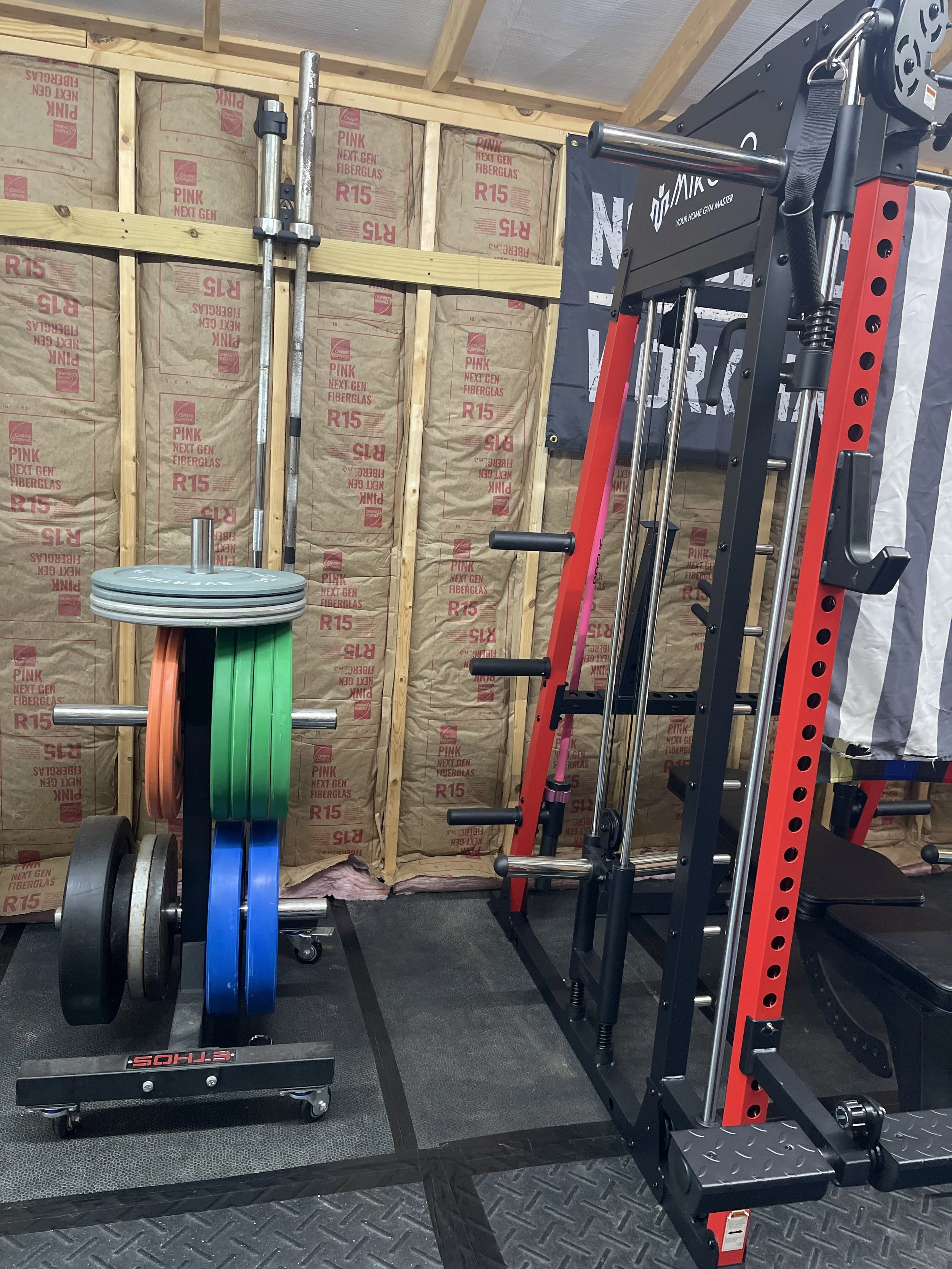 Home gym setup in a garage with weight plates, a pull-up bar, dip station, and weightlifting equipment, with insulation in the wall.