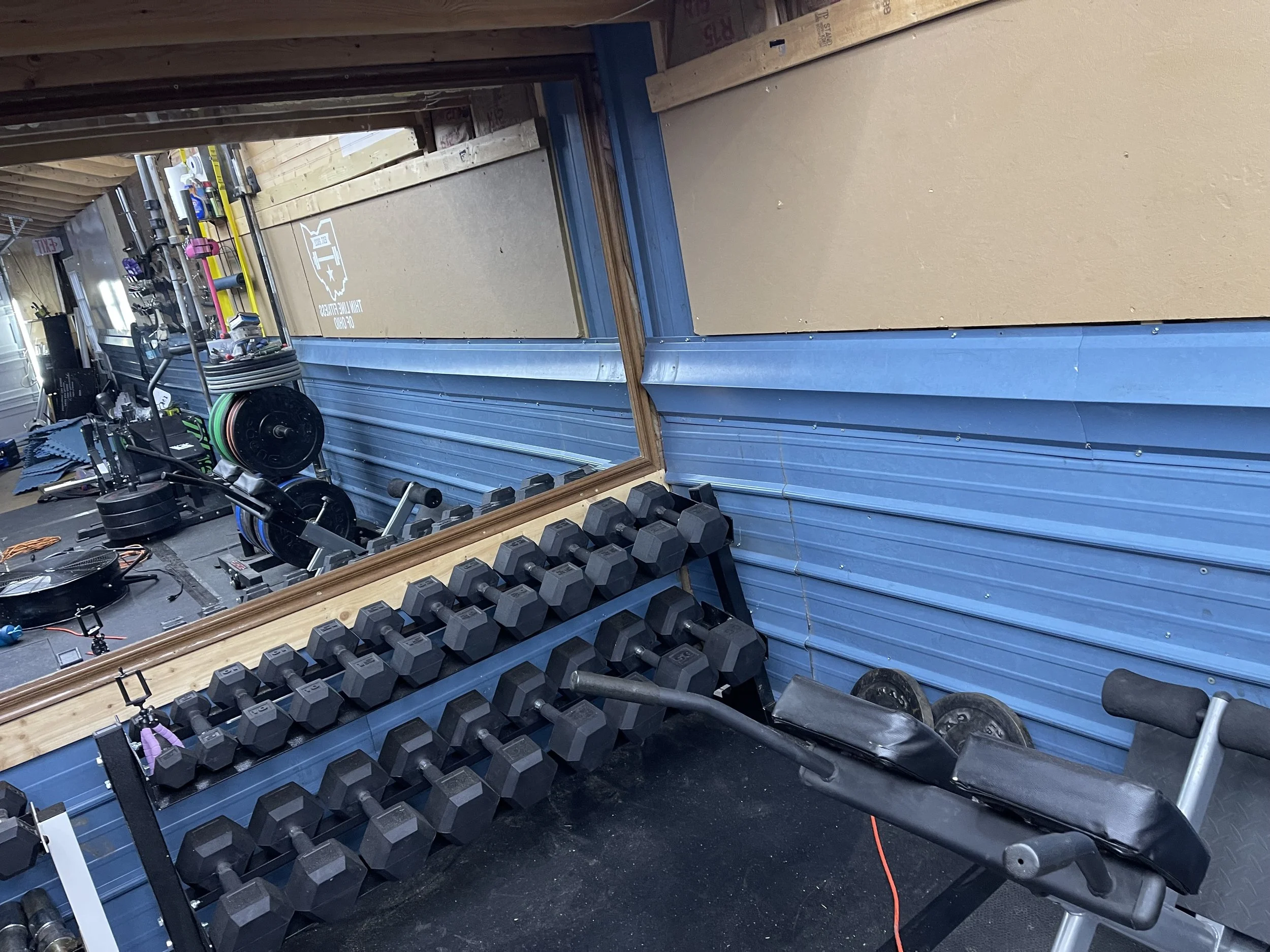 Gym with a mirror, dumbbells, weight plates, and exercise equipment. Blue wall paneling and a wooden-framed mirror.