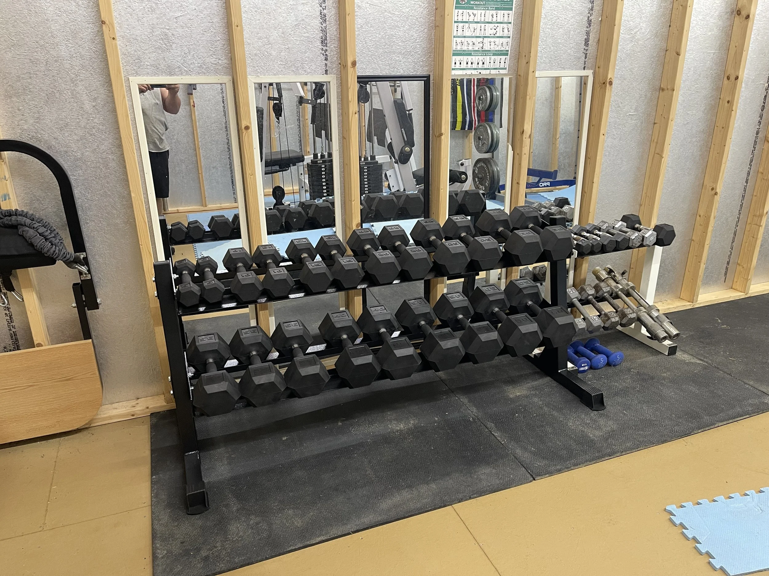 Rack of black dumbbells in a gym with mirrors and weight plates on the wall.