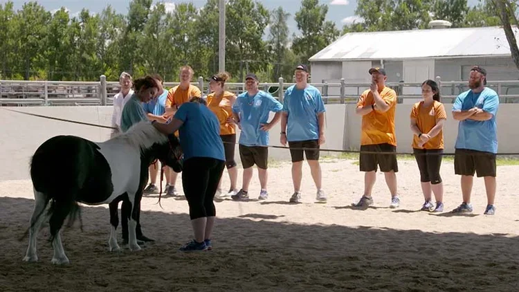Horses Transforming Reality TV 5.webp