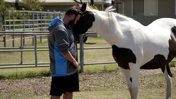 image-assetHorses Transforming Reality TV 1.webp