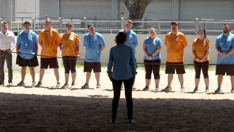 Horses Transforming Reality TV