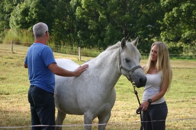 A man and a woman are standing on a grassy field with a white horse between them. The man is petting the horse's back, and the woman is holding the horse's bridle. There are trees and a fence in the background.