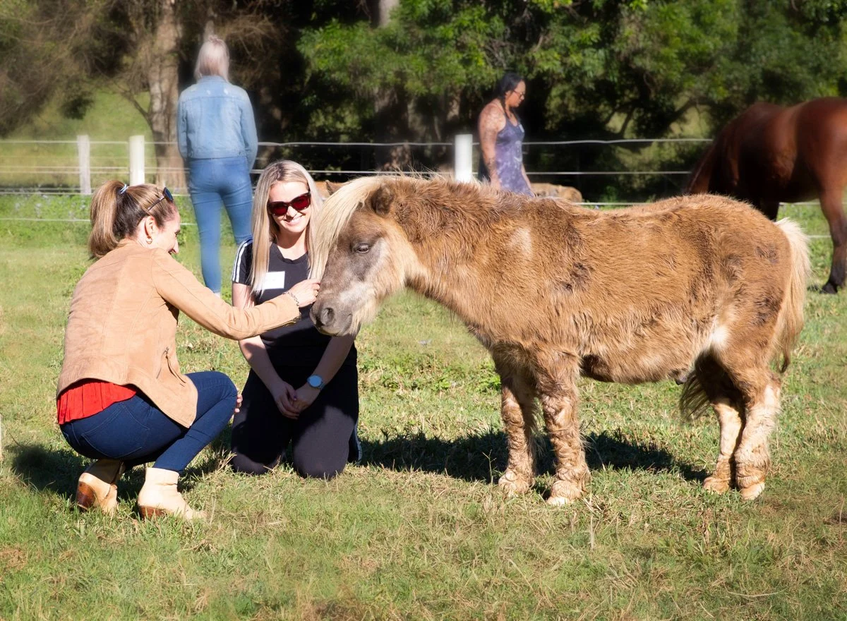 Two women are interacting with a small pony in a grassy outdoor setting. One woman is kneeling and petting the pony, while the other woman is sitting and smiling at the pony. There are other people and horses in the background.