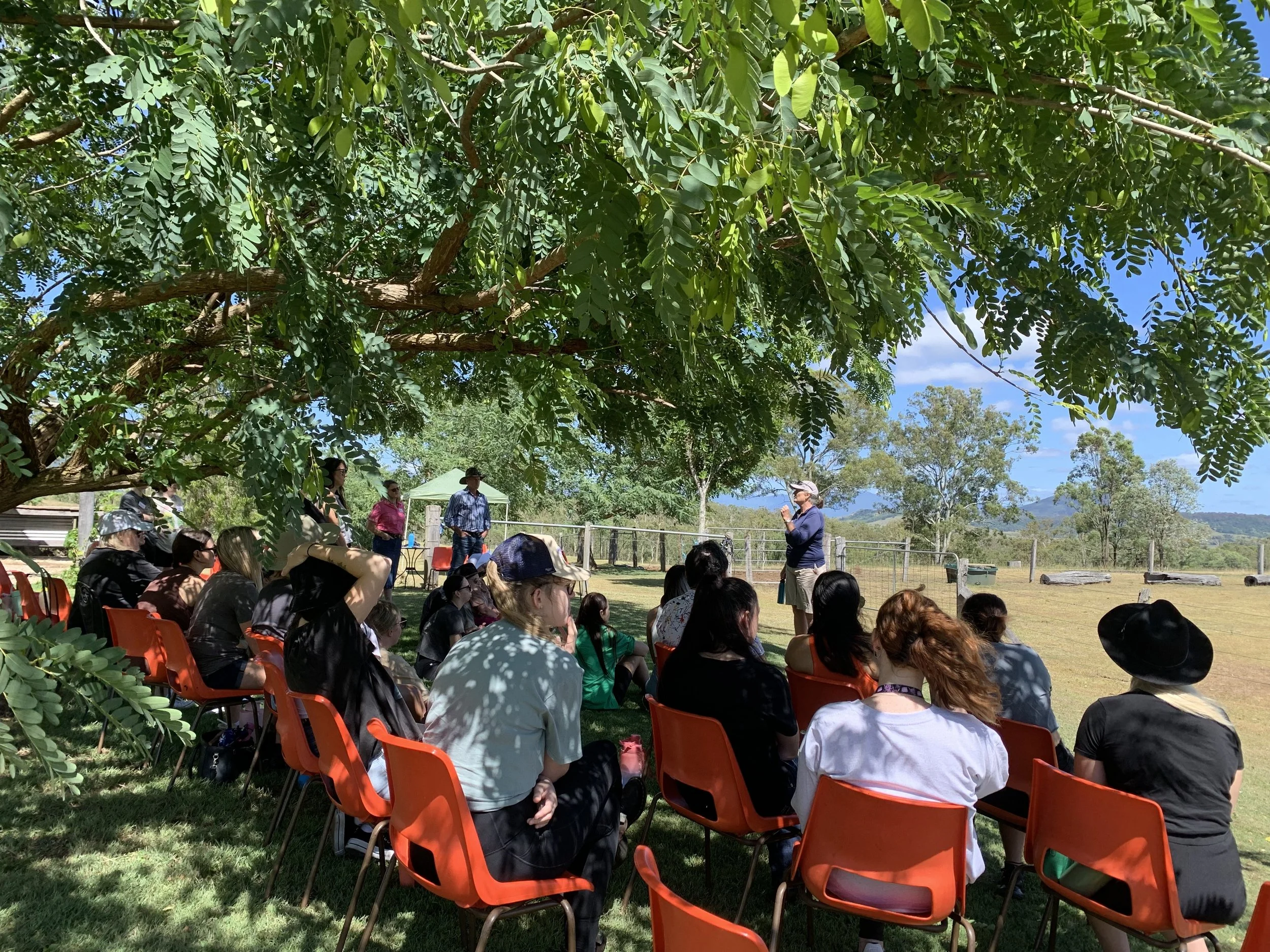Group of people sitting on orange chairs outdoors under a tree, attending a presentation or event on a sunny day with a green landscape and blue sky in the background.