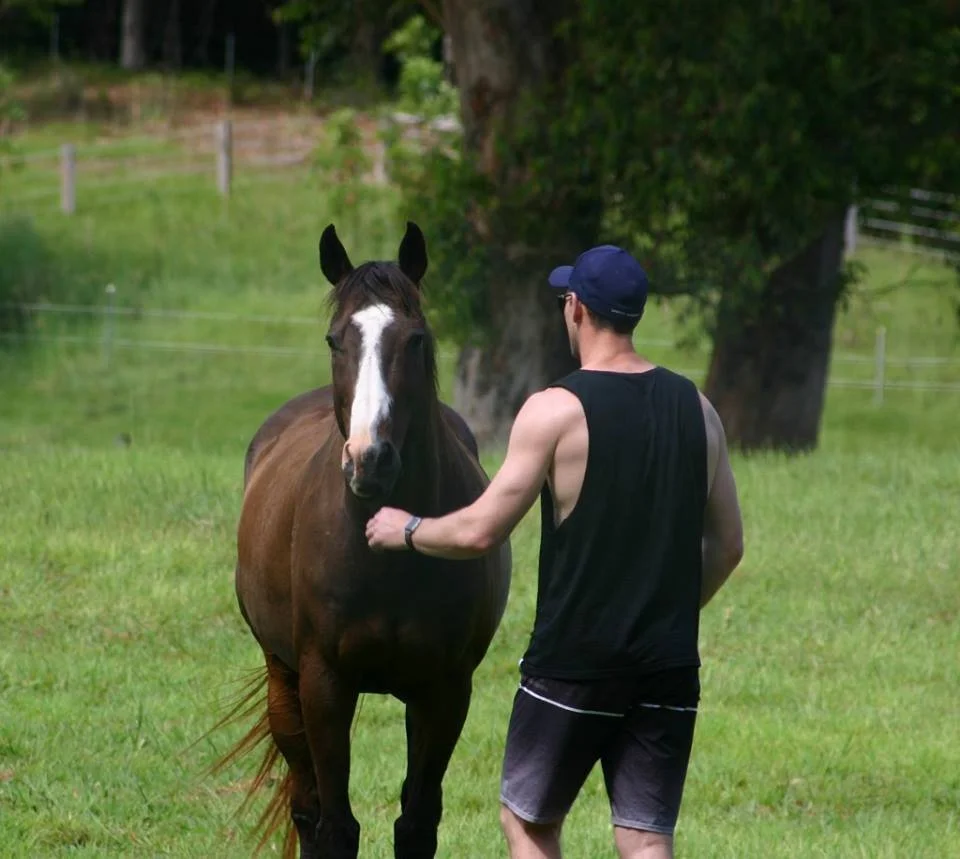 A man in a black tank top, shorts, and a cap interacts with a brown horse with a white blaze on its face in a green field with trees in the background.
