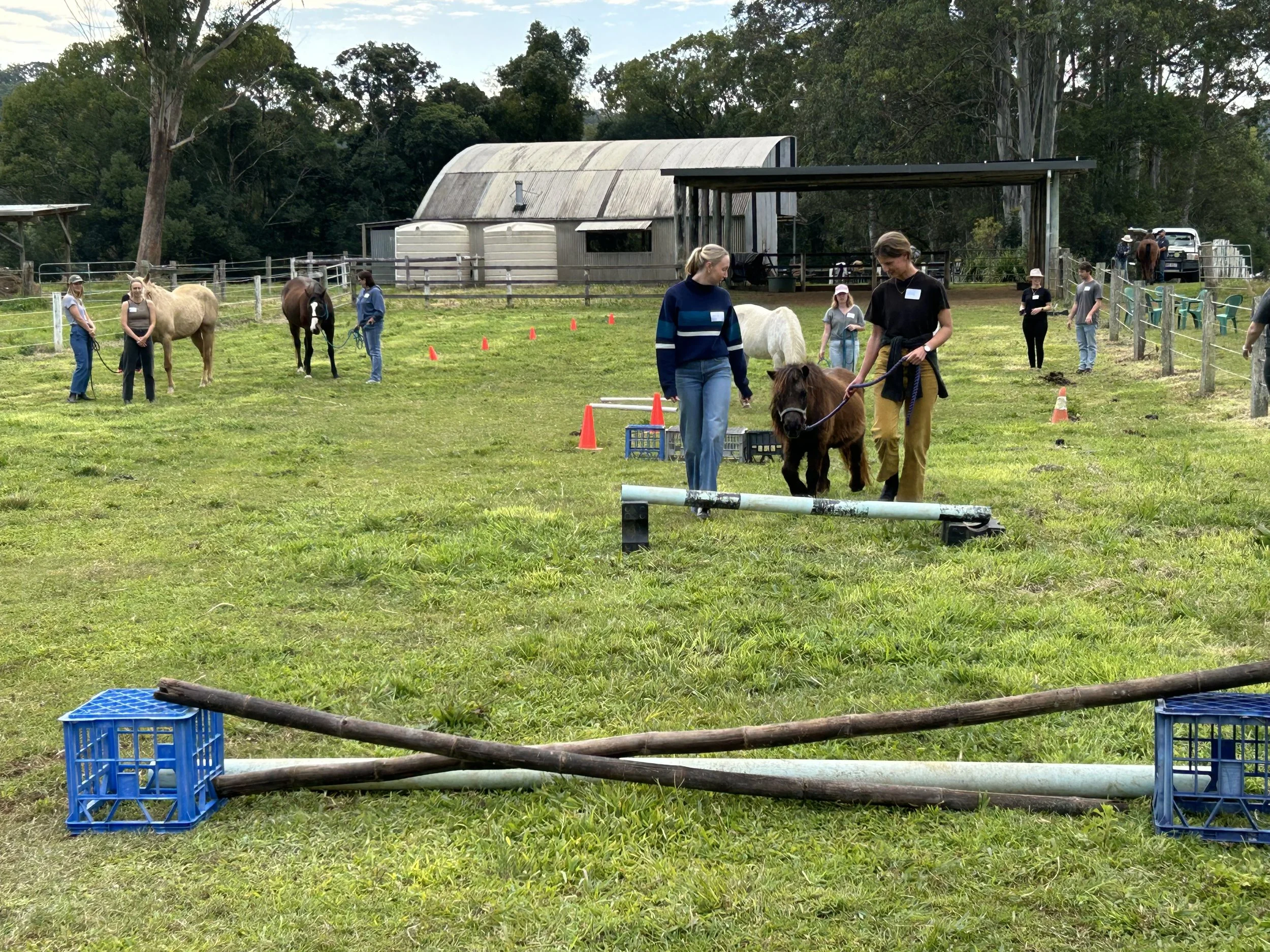 Group of people with horses in a fenced outdoor area, with an old barn and trees in the background, preparing for an activity or lesson.