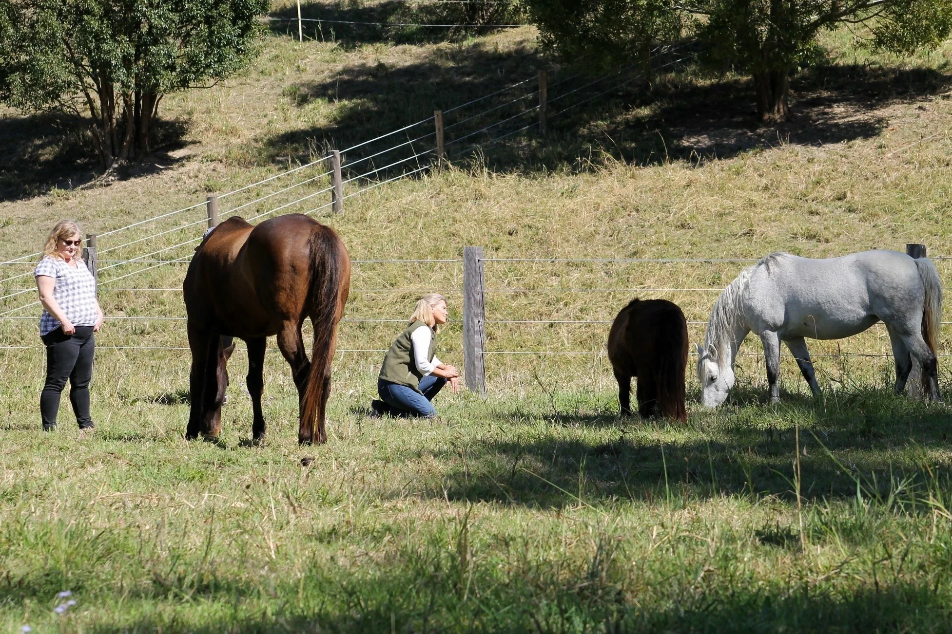 Two women and three horses in a grassy field surrounded by a wooden fence, with trees in the background.