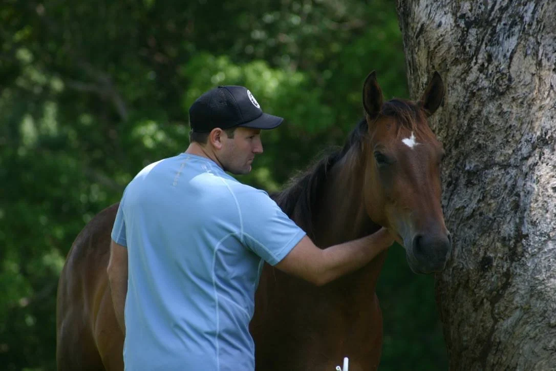 A man wearing a light blue shirt and a black cap is petting a brown horse with a white star on its forehead near a large tree with green foliage in the background.