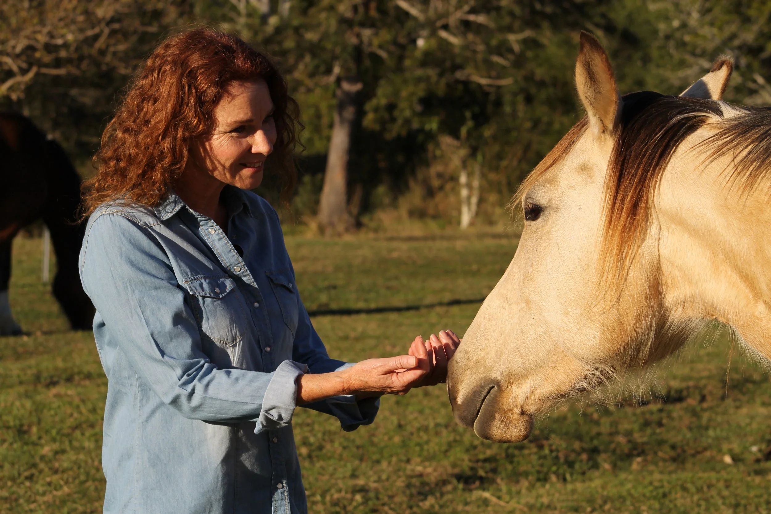 A woman with curly red hair wearing a denim shirt gently holds and interacts with a light-colored horse in an outdoor setting with trees in the background.
