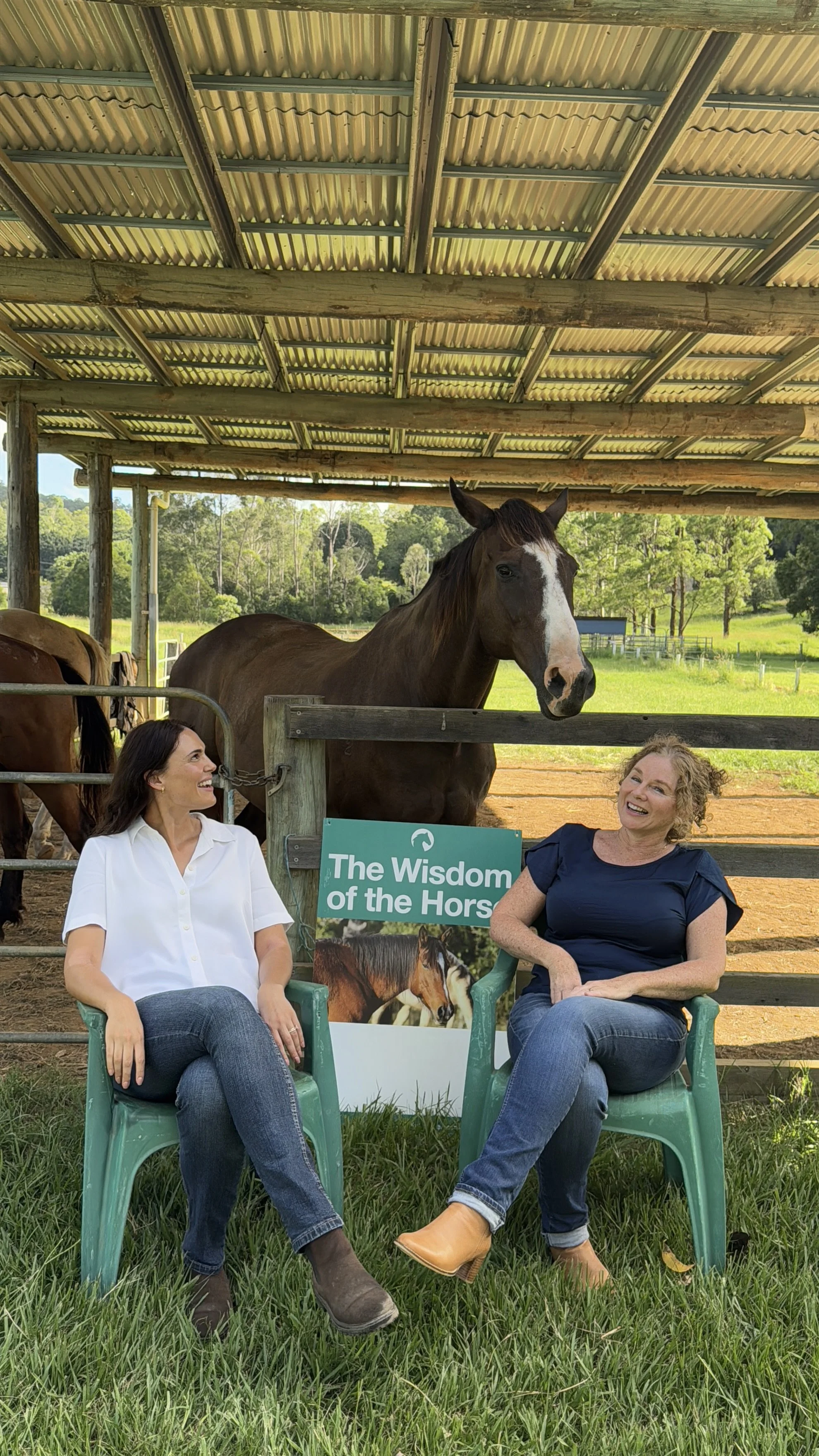 Two women sitting on green chairs in front of a horse barn, smiling and talking. A brown horse is standing behind a fence nearby. There is a sign that says, 'The Wisdom of the Horse.' The area outside the barn is grassy with trees in the background.