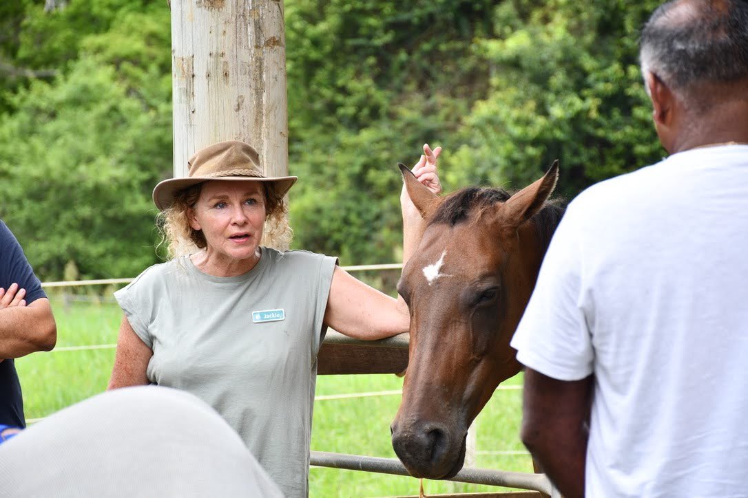 A woman wearing a tan hat and a gray shirt is talking to two men near a brown horse. The woman has a name tag that reads 'Jackie.' The scene is outdoors with green trees and grass in the background.