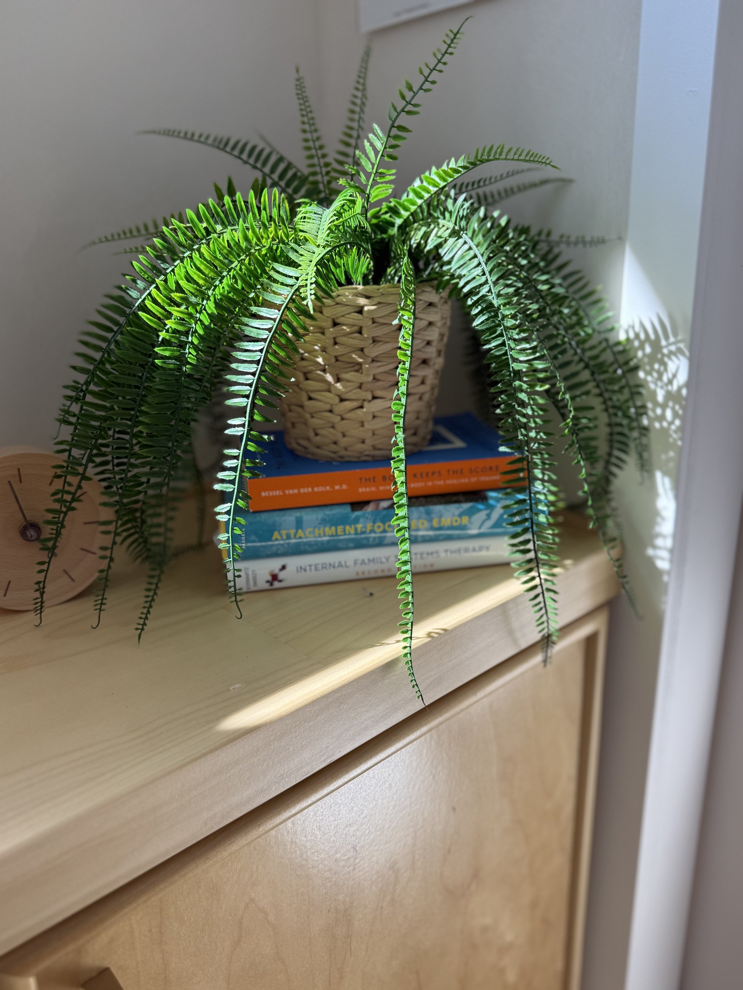 Potted fern on a wooden surface with books and a clock nearby. Therapy books.