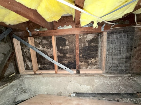 Line 7, before sheathing