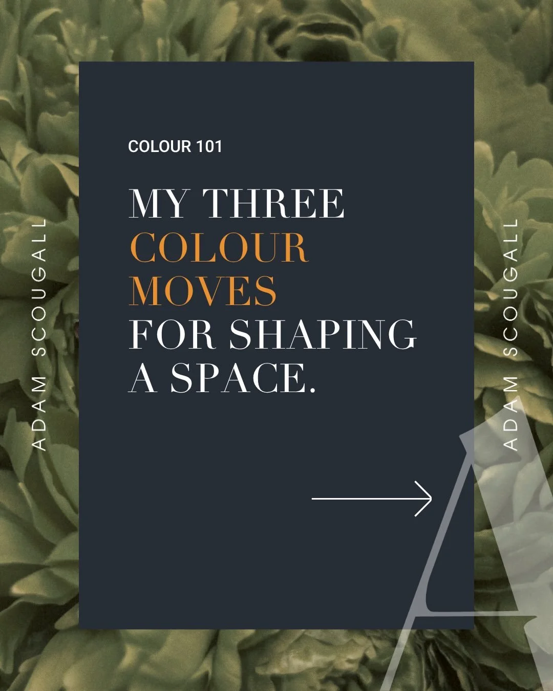 Most people think of paint as the finishing touch &mdash; I use it to shape the entire space.

Image 1 &mdash; Bold Bands
In this living room, I introduced horizontal bands to create movement and flow. It gives a simple layout much more presence with