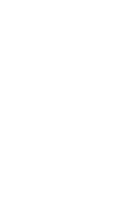 A large white letter N