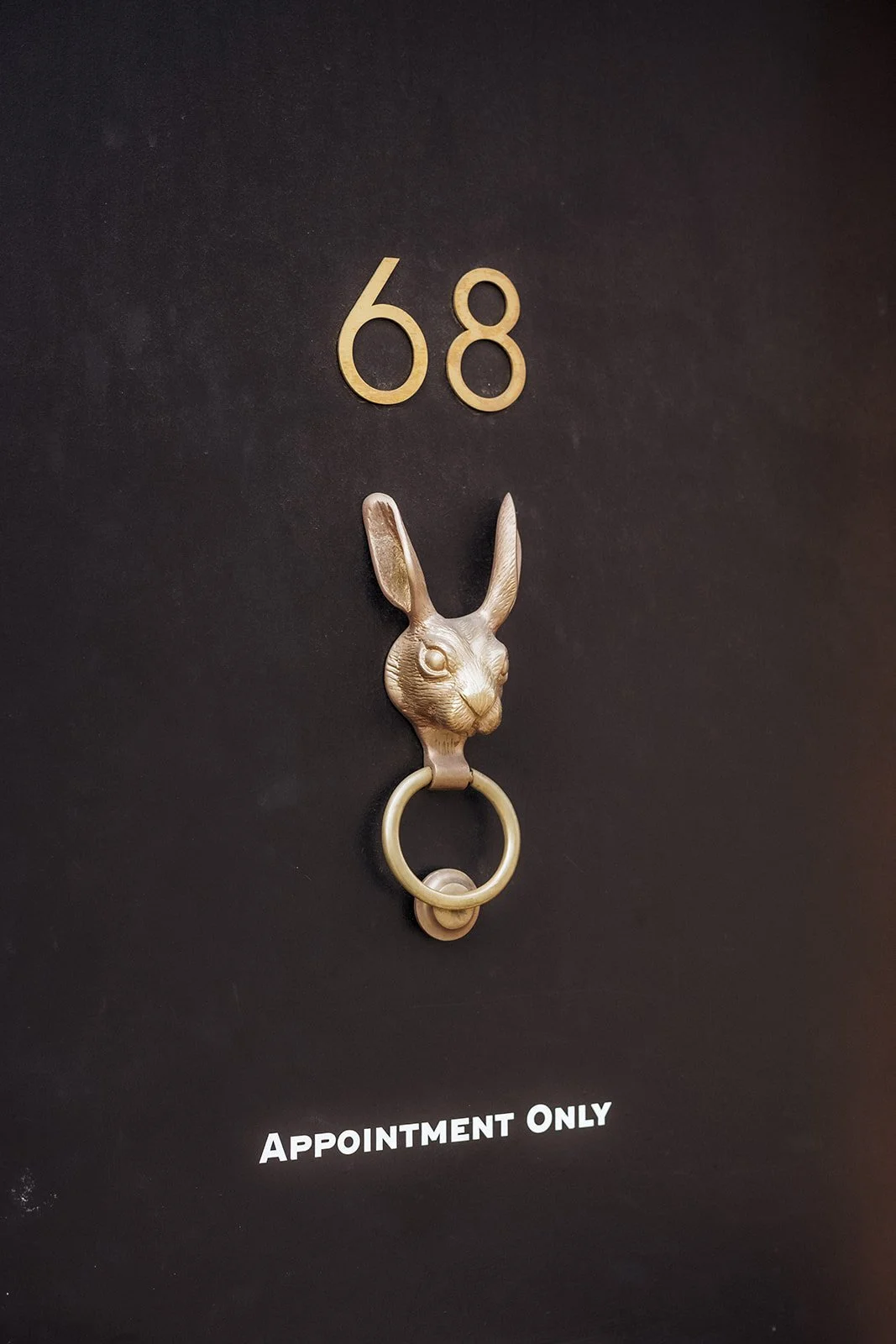 Close-up of a dark door with gold “68” numbers and a rabbit-shaped brass knocker above the words “Appointment Only”