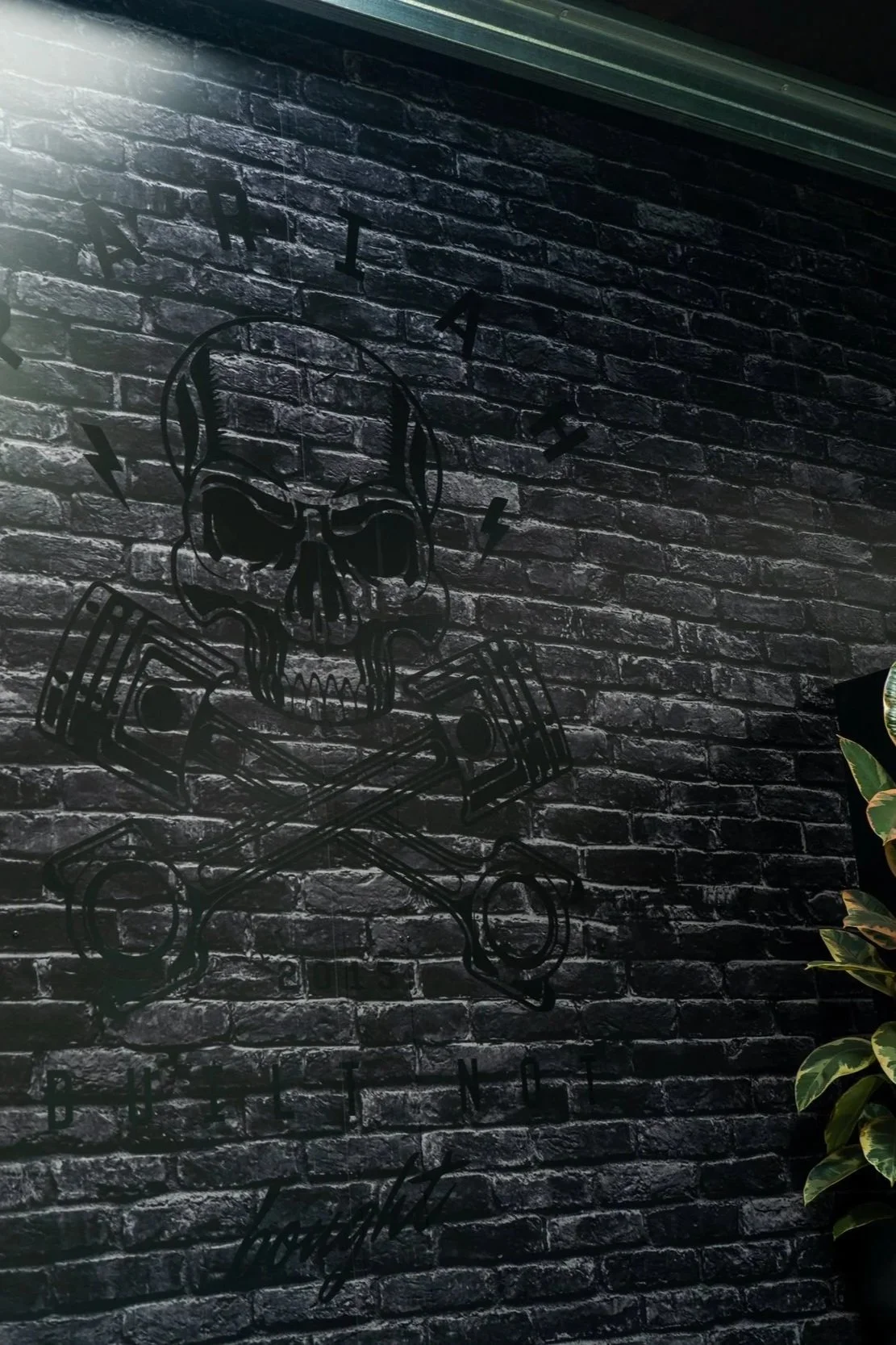 Pariah wall wrap