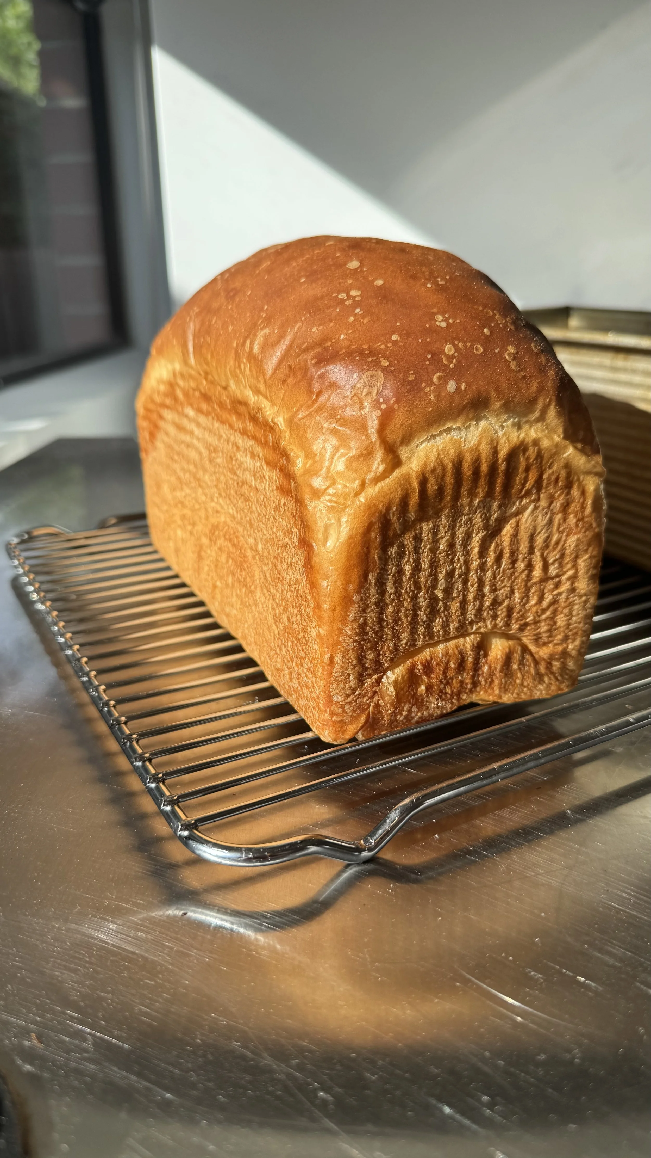 Sandwich Loaf  White
