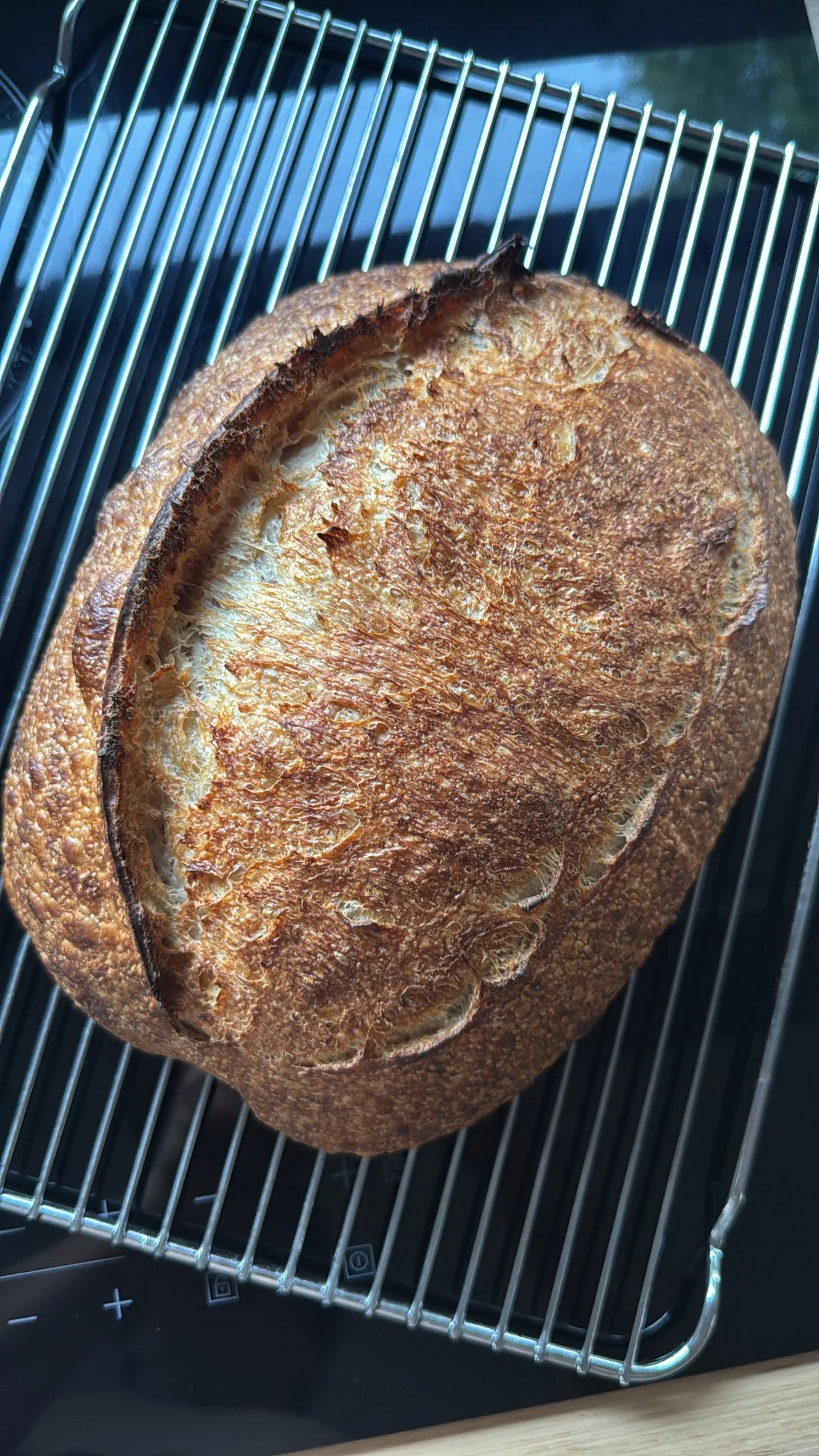 12-Week Country Sourdough Subscription