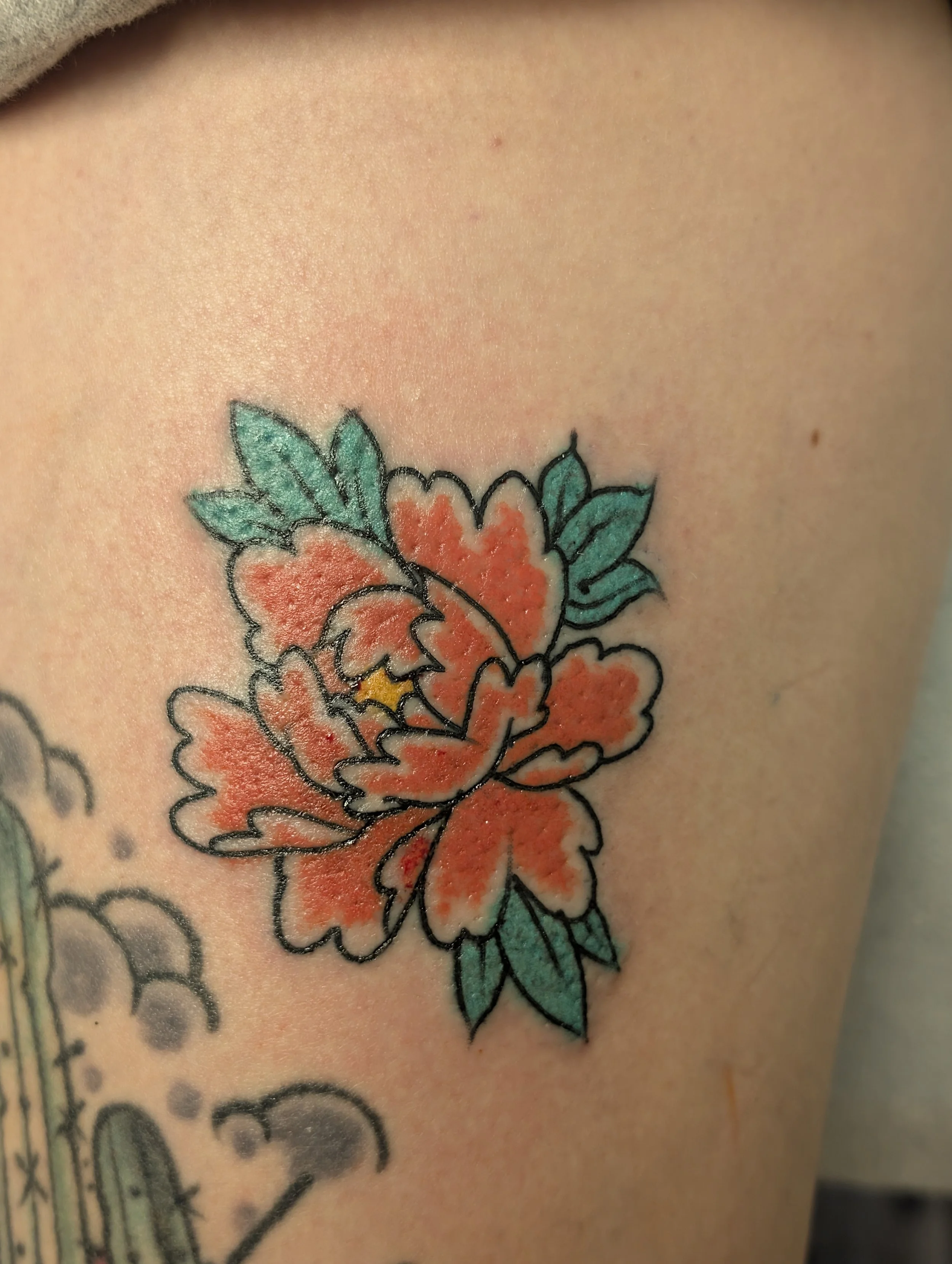 PXL_20260119_230921520.RAW-01.COVER_Original.jpeg