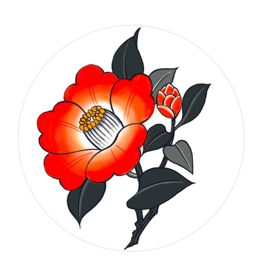 Illustration of a red flower with black and yellow center, dark green leaves, and a smaller bud on a white background.