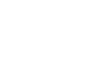 Black and white logo with bat wings above the word 'JOTUL' in uppercase letters