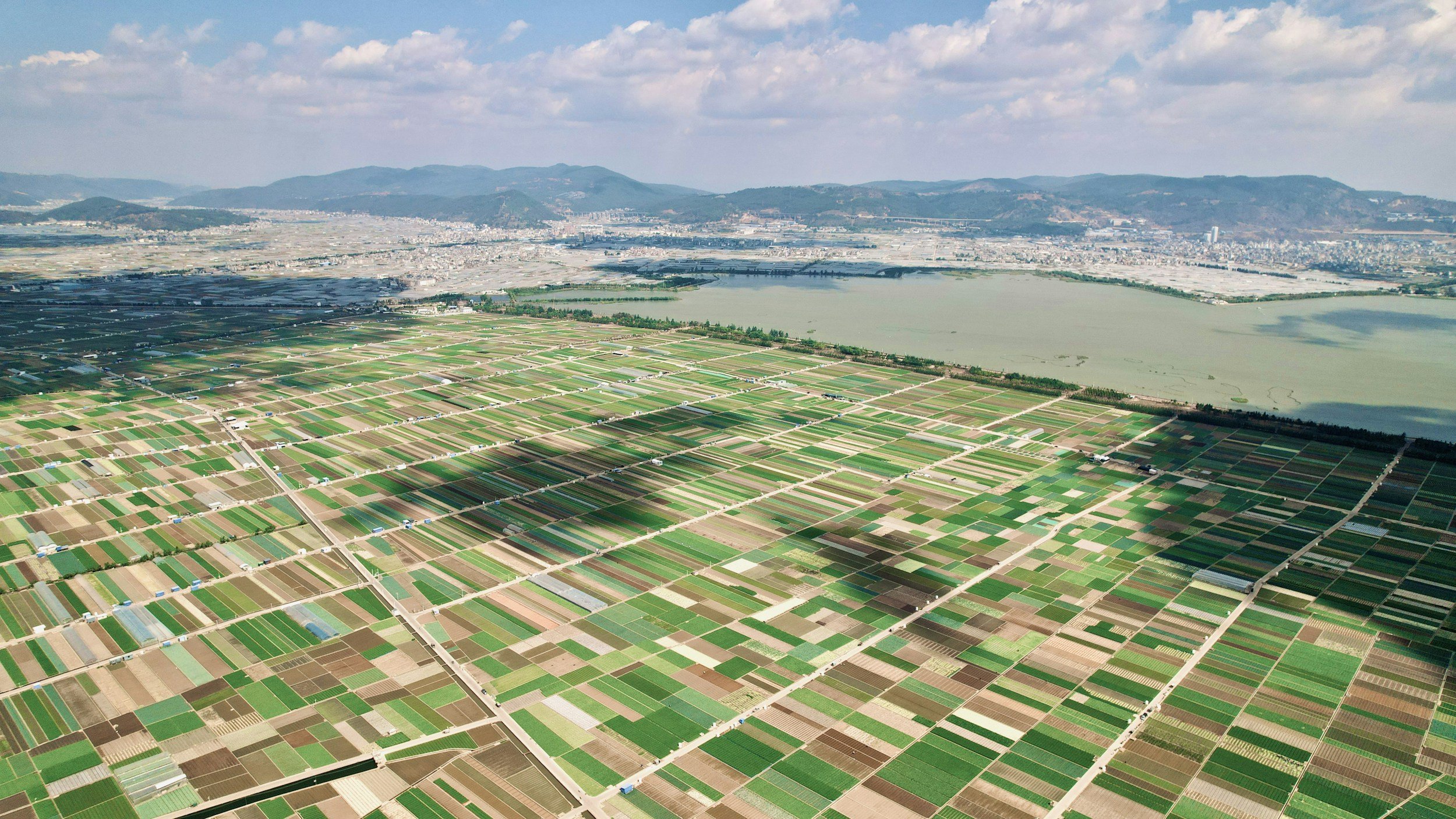 site selection