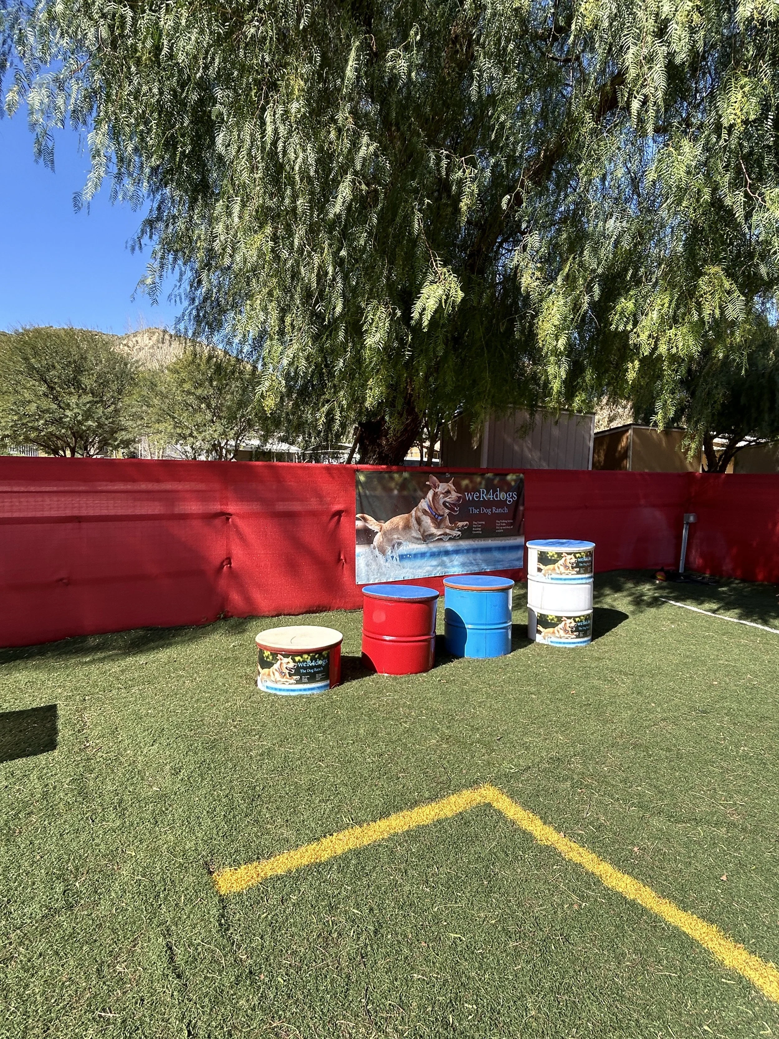 IMG_4449.JPG