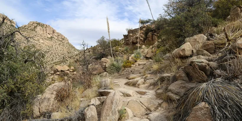 Devo Team Mount Lemmon Hike