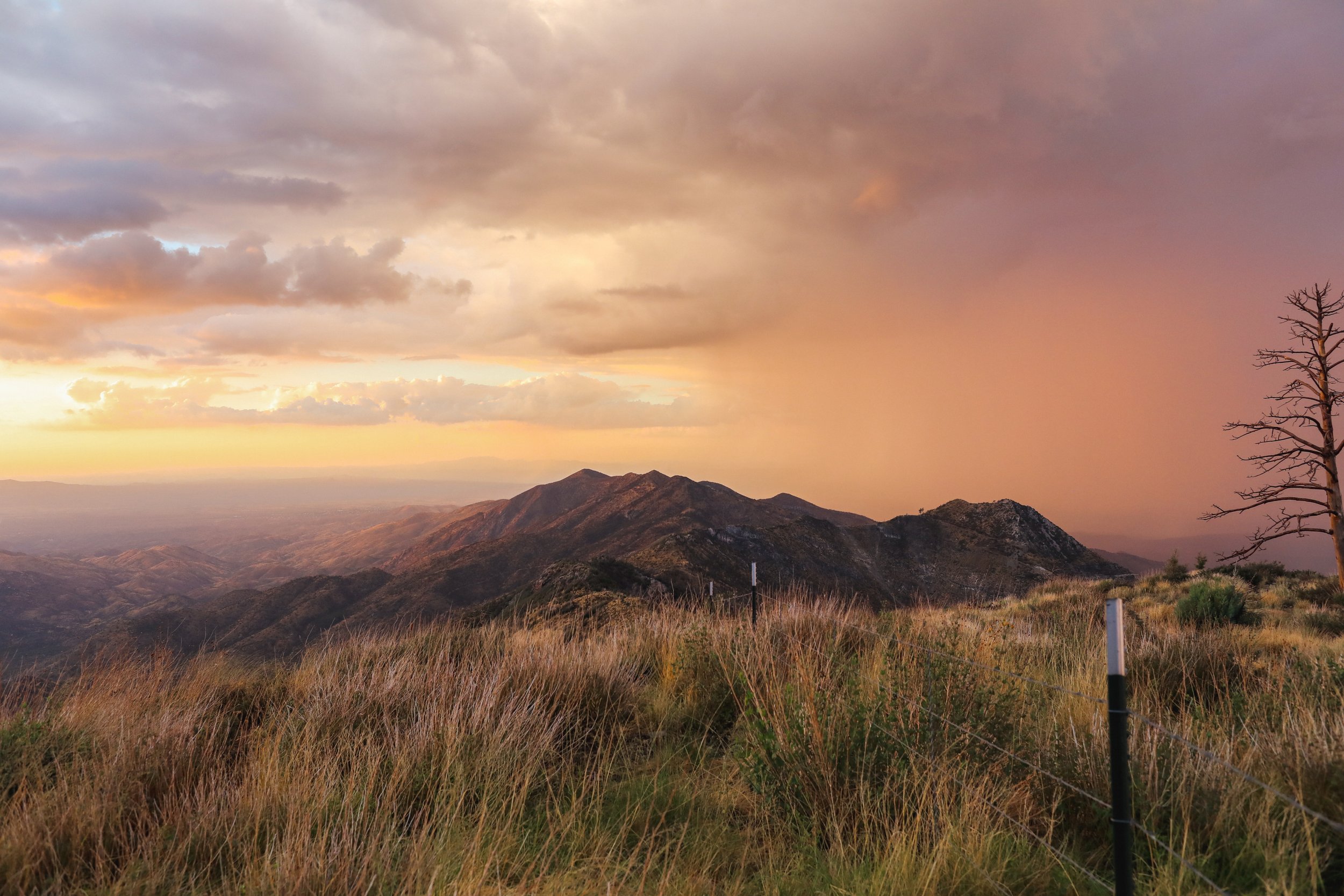 Sunset over rolling mountains with a partly cloudy sky, a lone leafless tree on the right, and a fence running through tall grass in the foreground.
