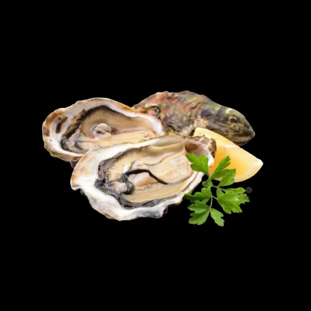 Ostras Limpias