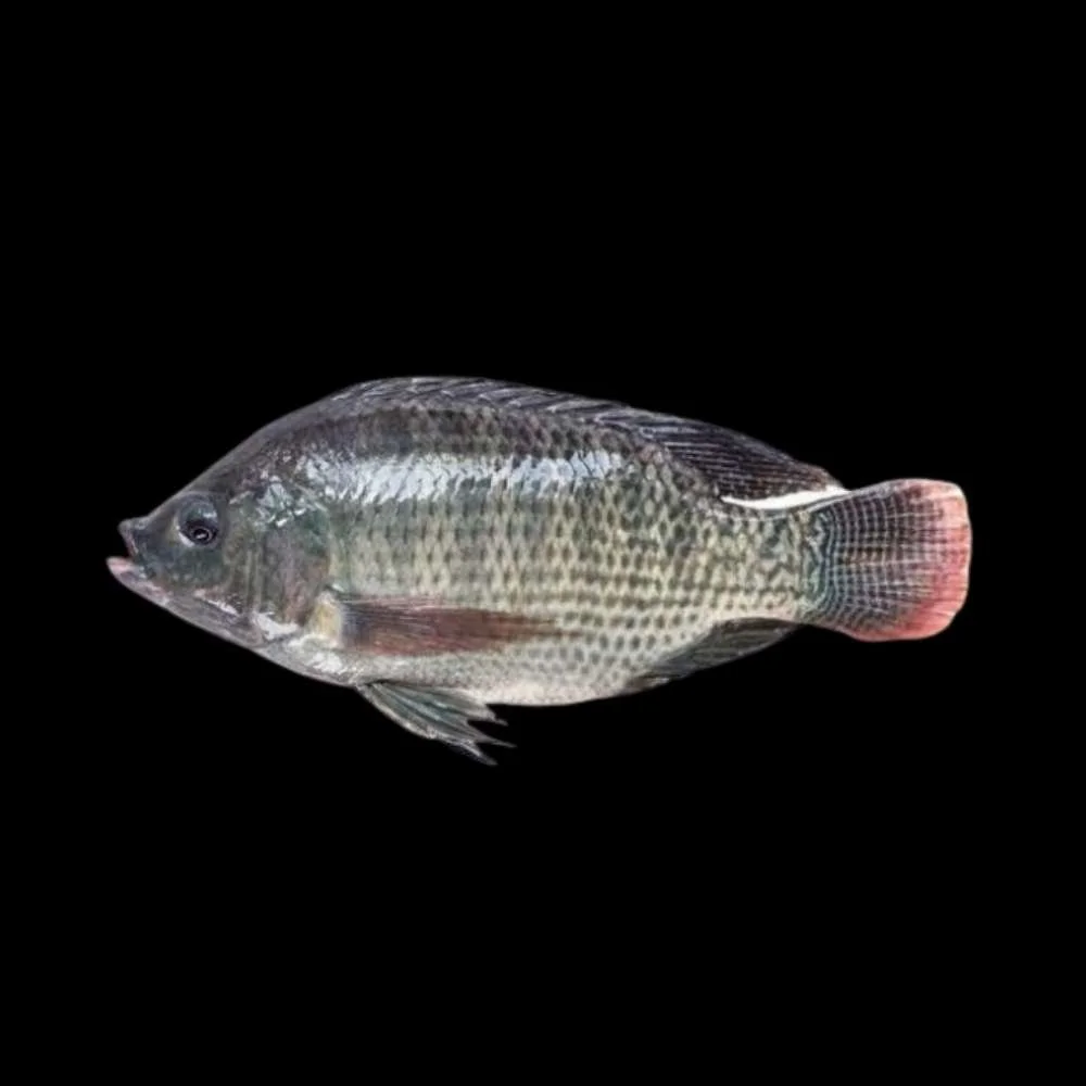 Mojarra Limpian Entera