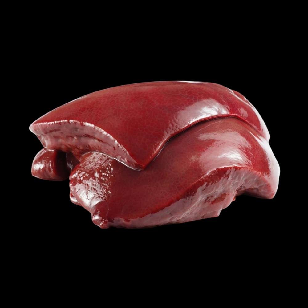 Higado De Res