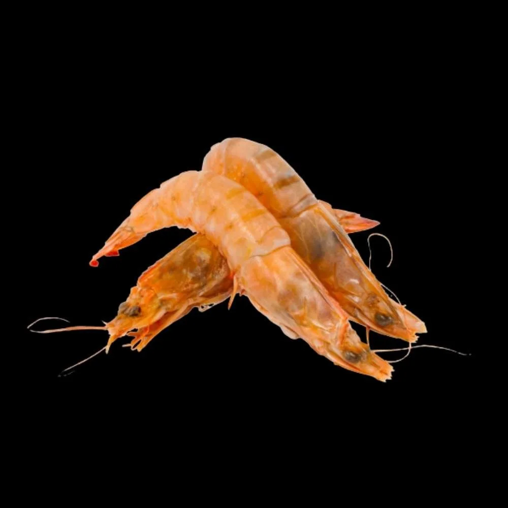 Camarones C/cabeza Importados Xl