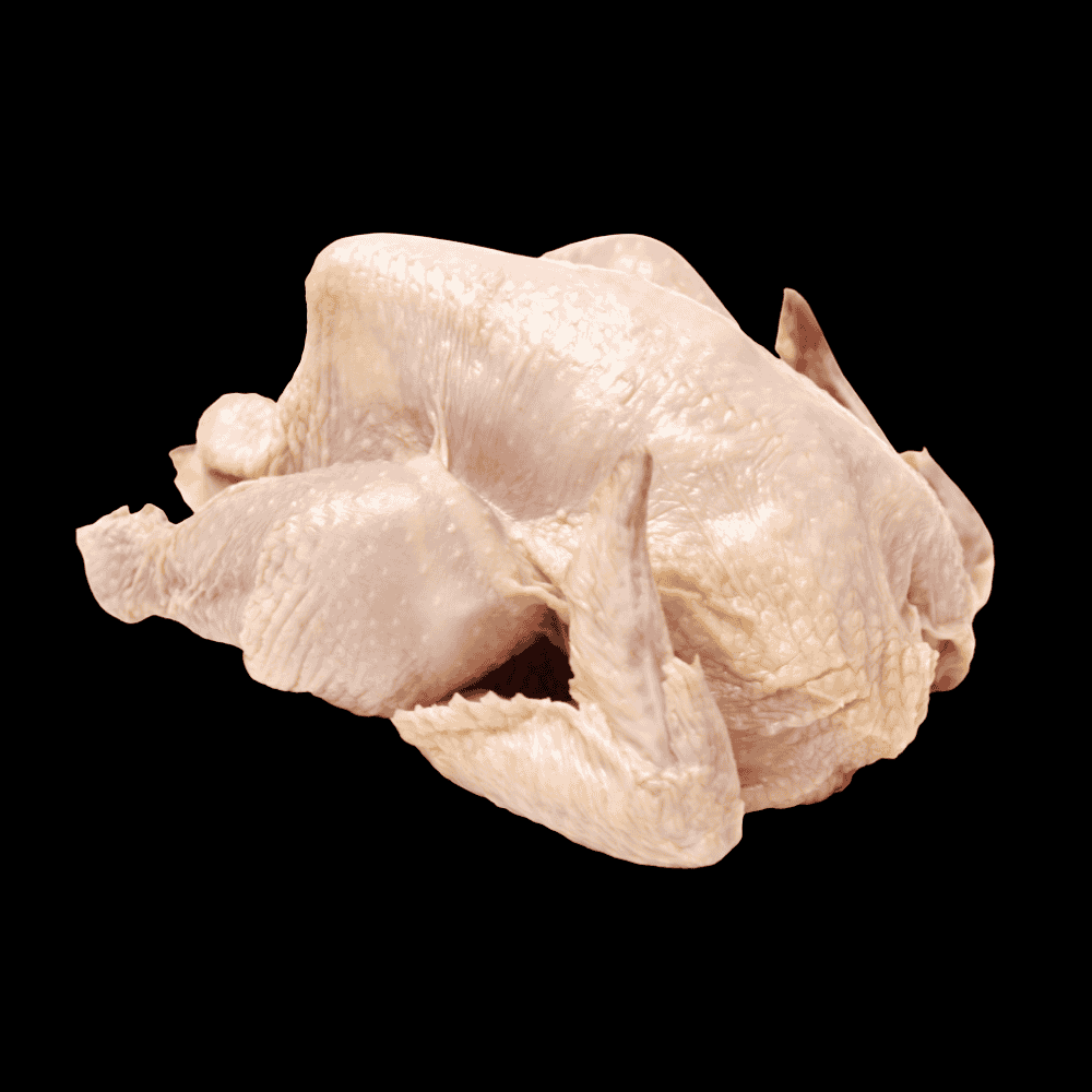 Gallina Criolla Pequeña